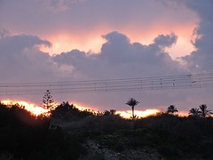 SP2017-061