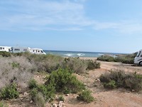 SP2017-117