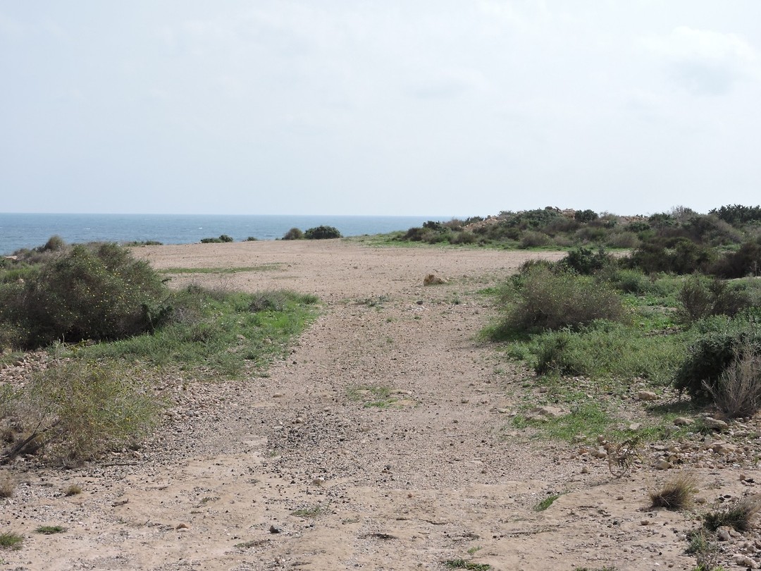 SP2017-132