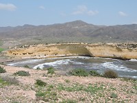 SP2017-133
