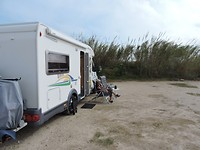 SP2017-184