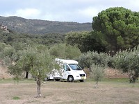SP2020-003
