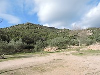 SP2020-004