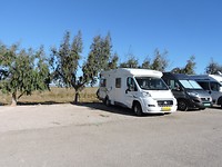 SP2020-018