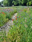 IMG-20230606-WA0001