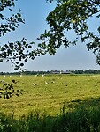 IMG-20240627-WA0000