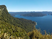 Lake Wai en zovoort in Te Urewera bos