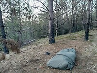 20230409_064511