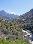 Sequoia NP