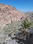 Red Rock natuurgebied