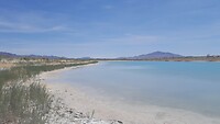 Ash Meadows