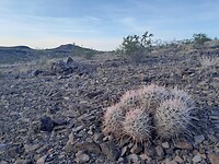 Net buiten Death Valley
