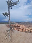 Bryce NP