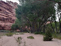 20230523_070411