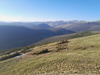 Alpine toendra
