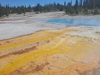 Yellowstone Grant geyser basin