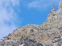 Eerste berggeiten