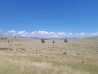 Prairie