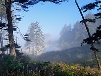De kust thv Olympic NP