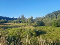 Heuvels nabij Olympia