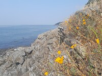 San Juan Island