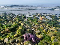 Ook onder water is er kleur