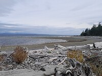 Quadra Island
