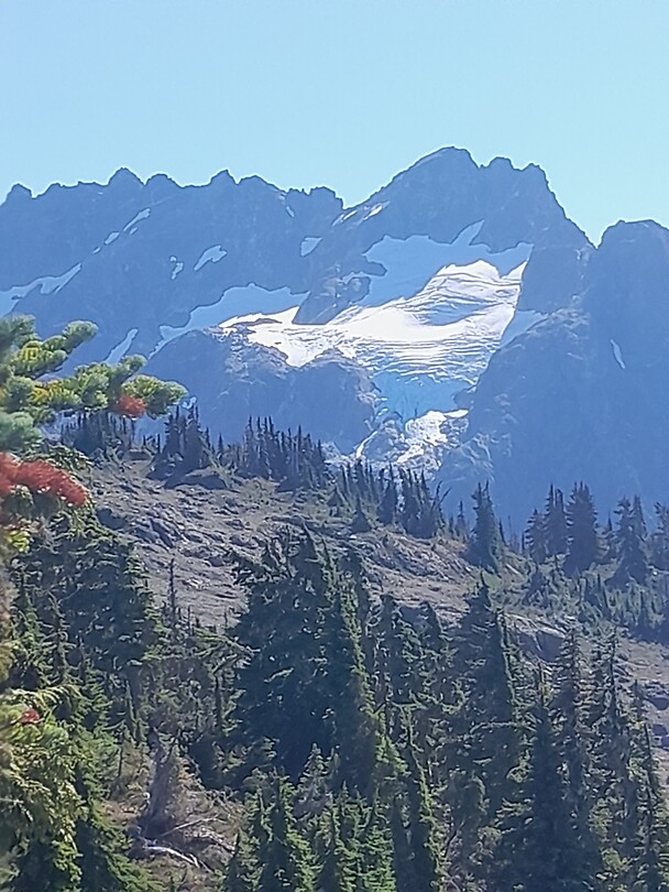 Gletsjer op Vancouver Island
