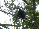 DSCN0038