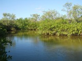 DSCN0073