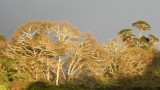 DSCN0126