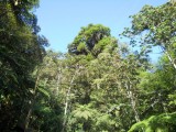 Biotopo Los Quetzales