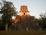 Tempel nr 1 in Tikal