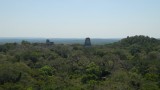 Tikal NP