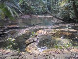 Palenque NP