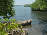 PN Laguna de Chacahua