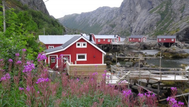 Nusfjord