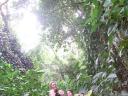 In het park in Rio