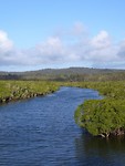 Fraser island