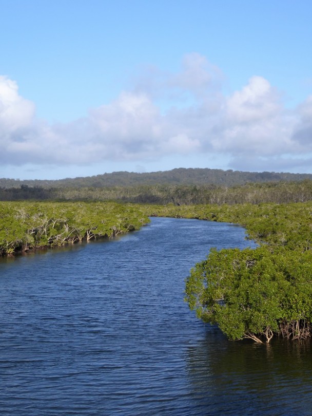 Fraser island