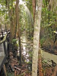 Fraser island