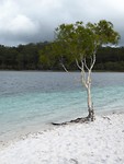Fraser island/Lake Mackenzie