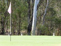 Birthday golf