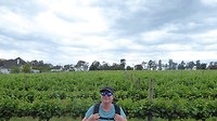Yarra Valley