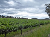 Yarra Valley
