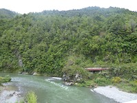 NZ view