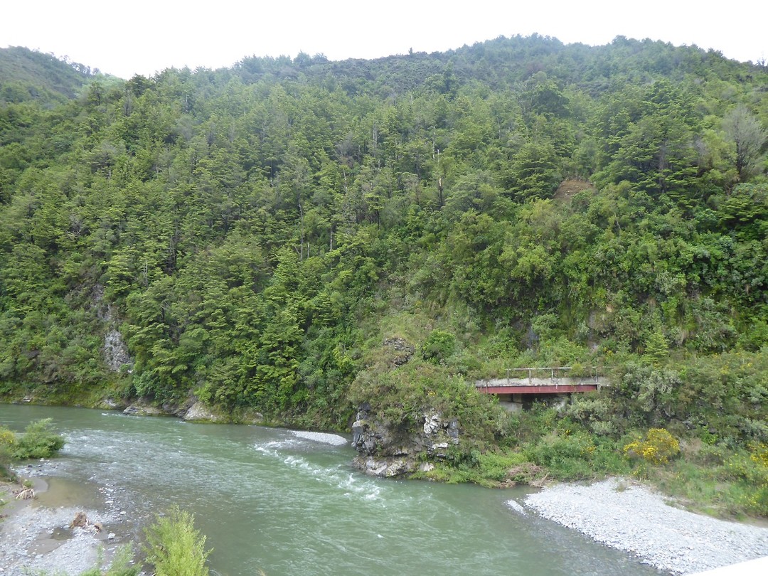 NZ view
