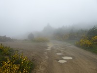 On top of the mountain