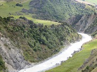 NZ view