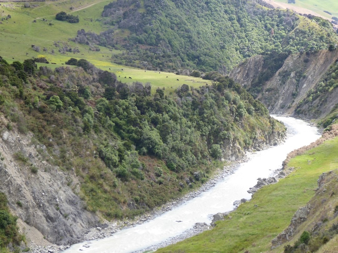 NZ view